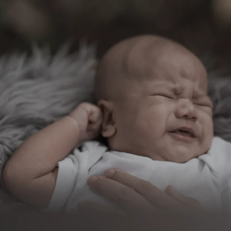 Momcozy Middle-East