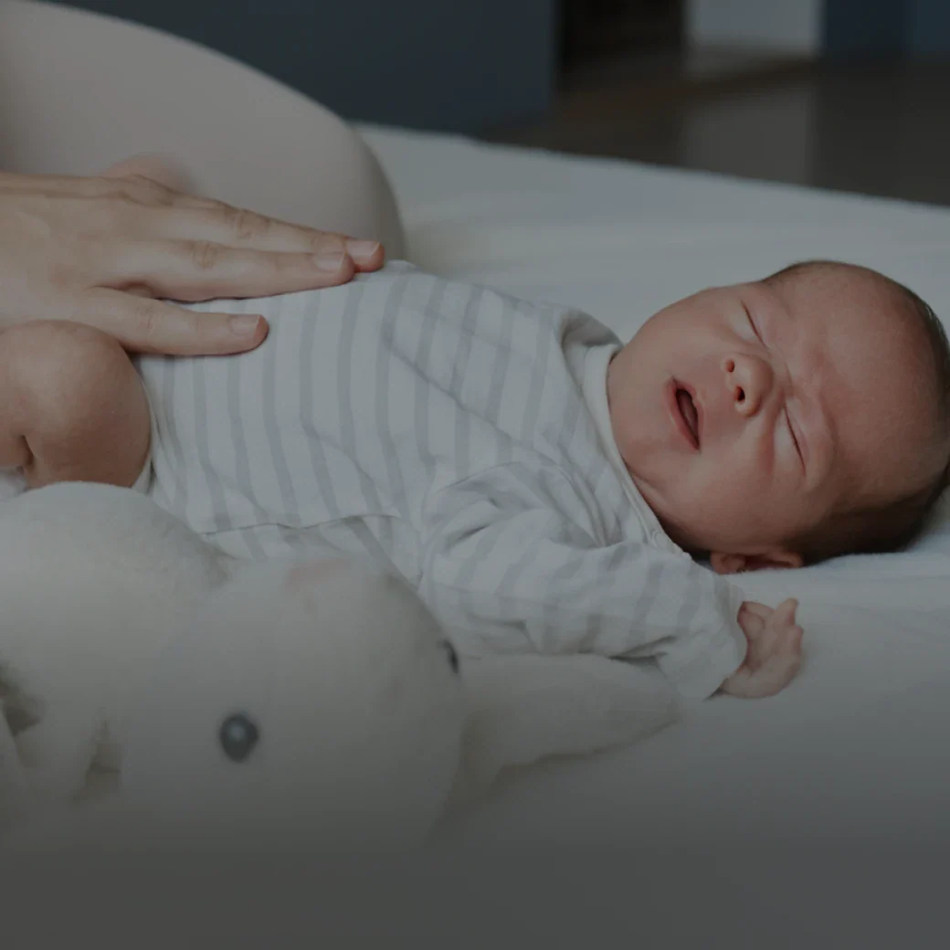 Momcozy Middle-East