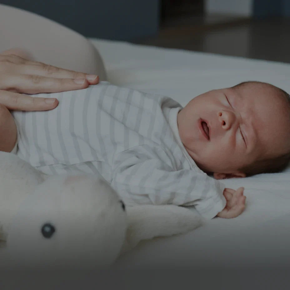 Momcozy Middle-East